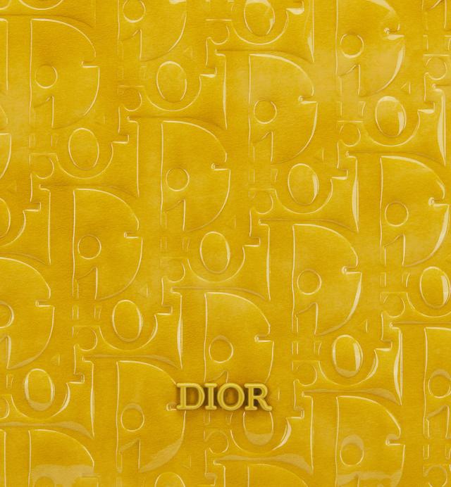 Túi Dior Boxy Bag With Strap Yellow Dior Oblique Gravity Leather