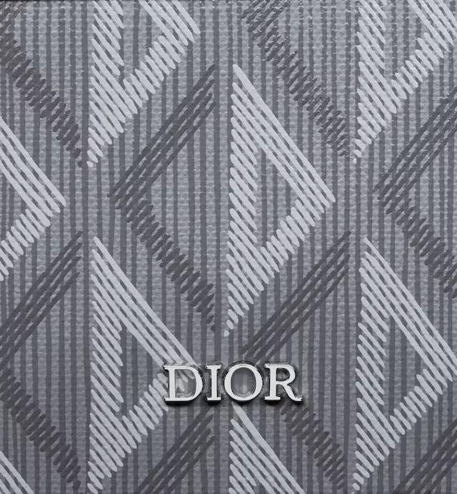 Túi Dior Safari Bag With Strap Dior Gray CD Diamond Canvas