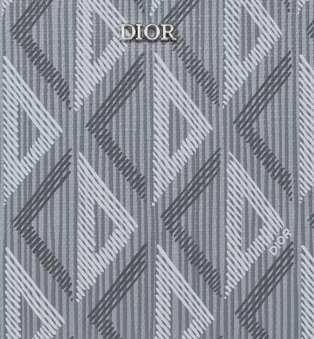 Túi Dior Pouch With Strap Dior Gray CD Diamond Canvas