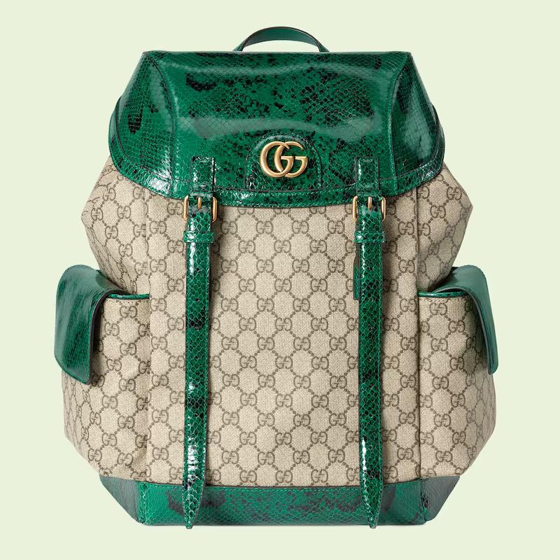 Túi Gucci Python Trim With Double G Nam Màu Xanh Da